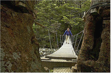 milford-track