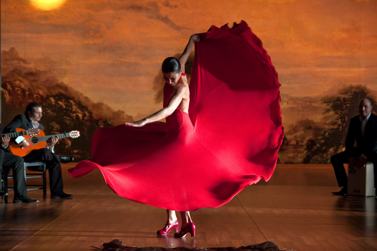 -Flamenco-2010-1