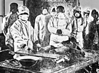 unit731