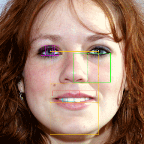 face-phi-golden-ratio