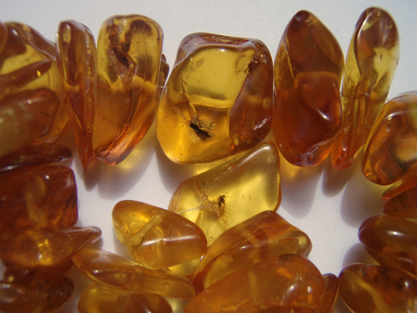 baltic-amber