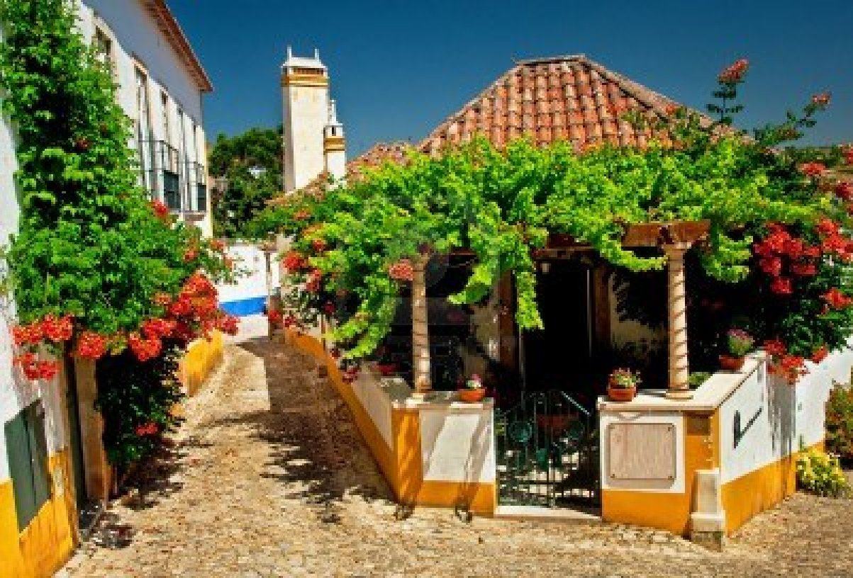house-with-flowers-in-portugal