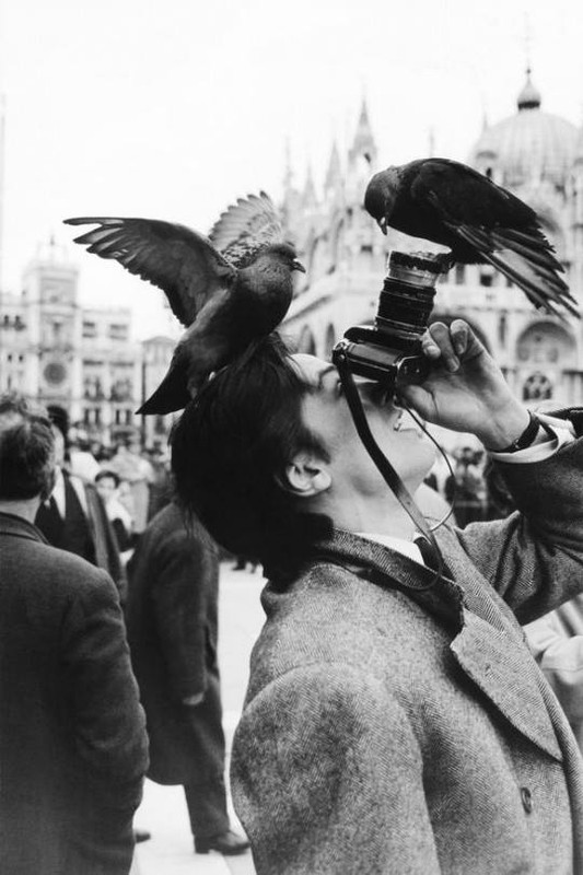 Alan Delon 1962 Velence, Canes Szent Mark tér Venezia