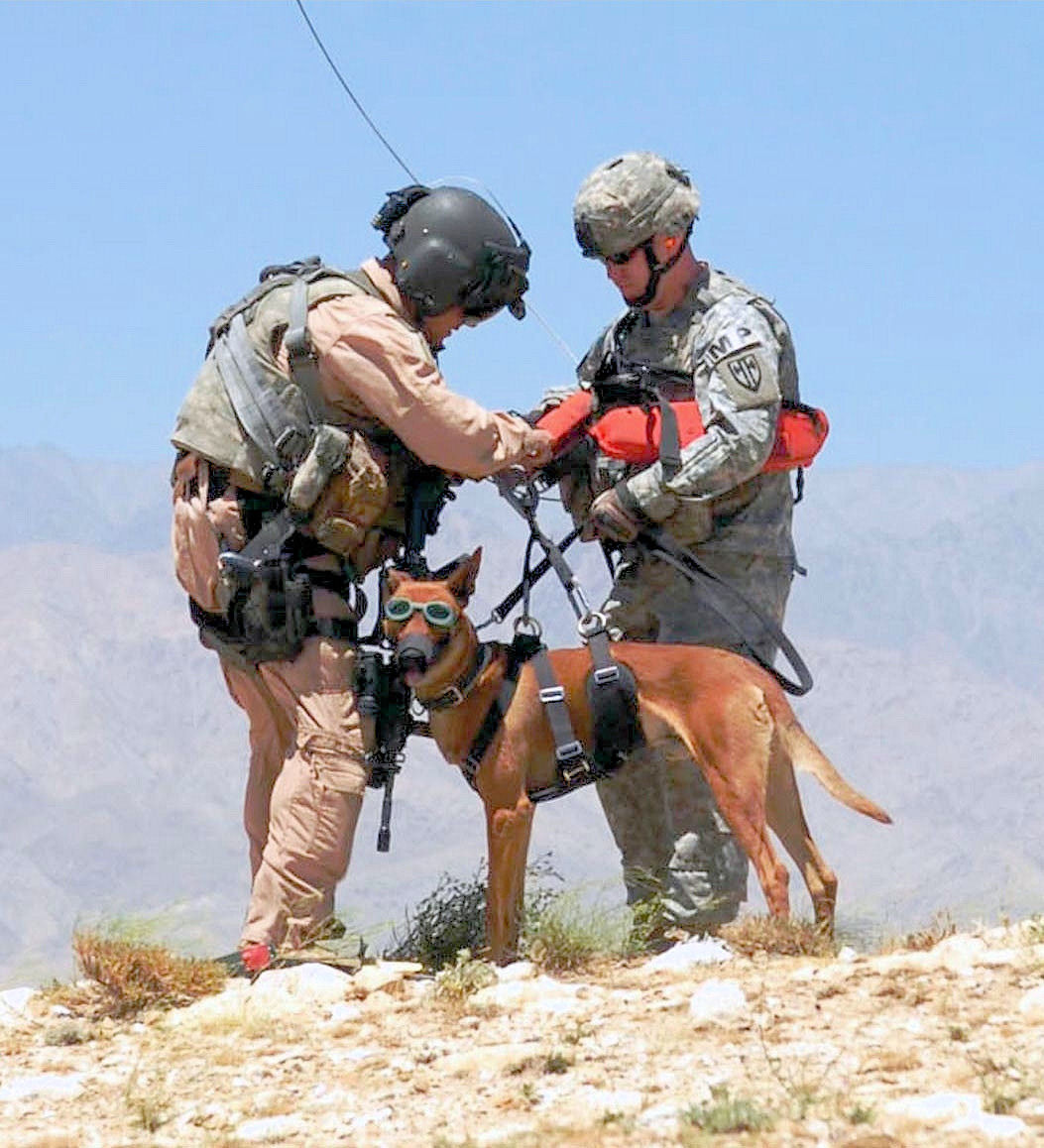 Military dog in Afghanistan being prepared for a helicopter hois