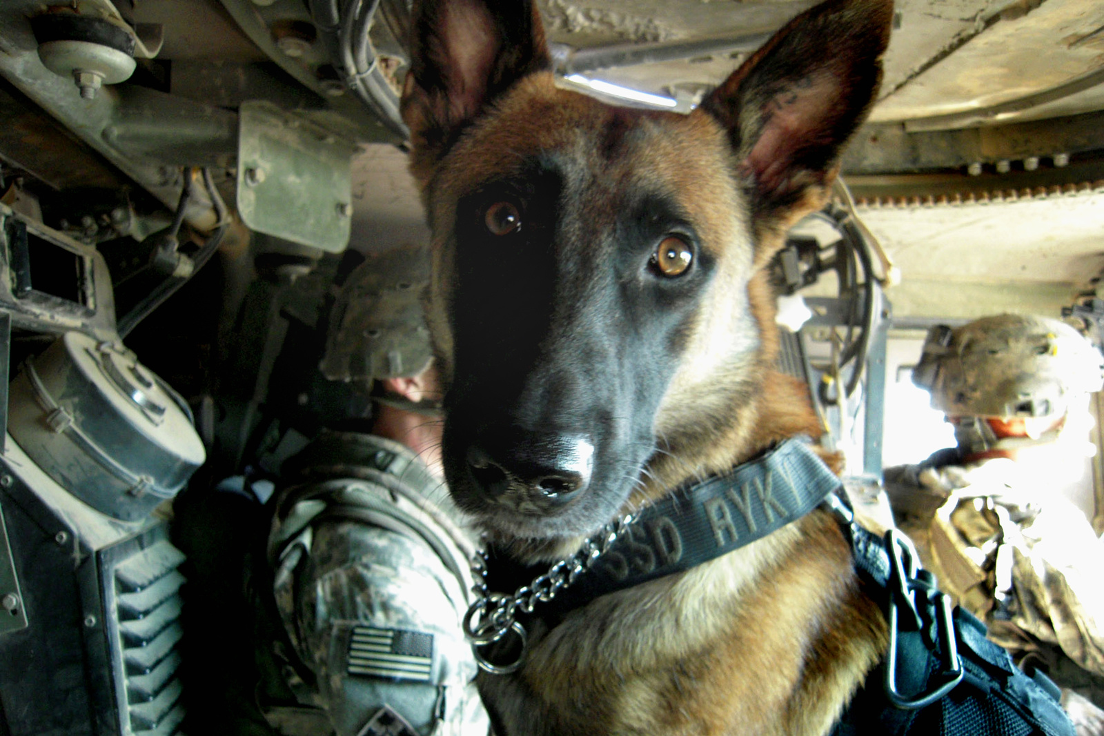 military police dog and his handler o