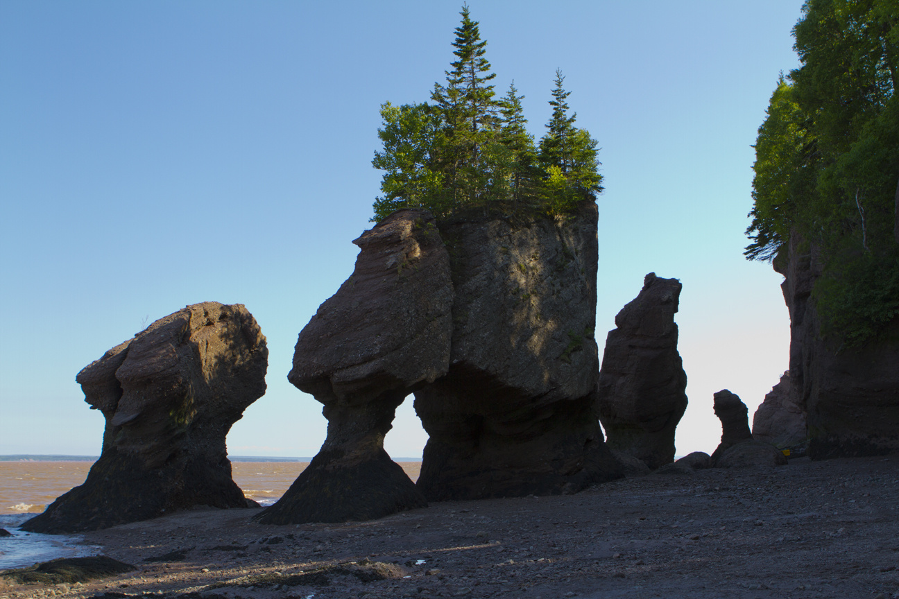 Hopewell-Rocks-Bay-of-Fundy-4