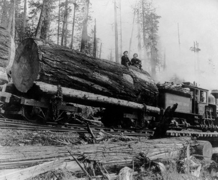 people and log on a logging train