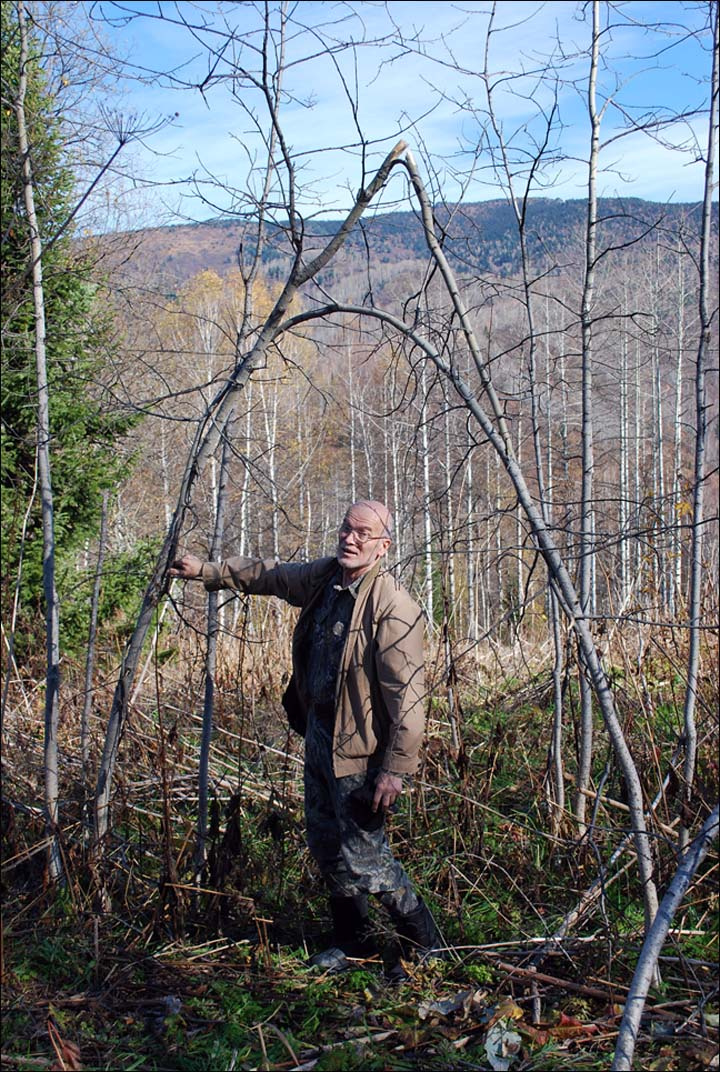 inside the story, Burtsev and tree