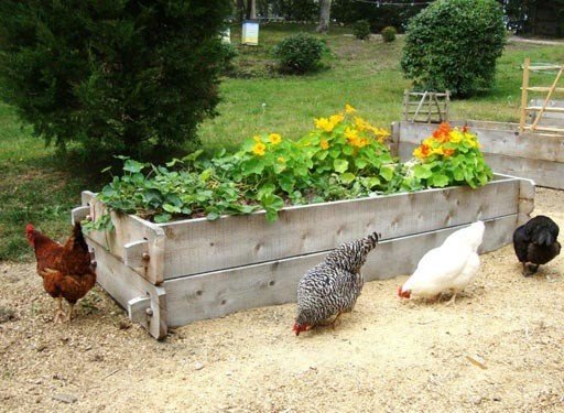 farmstead gardening beds