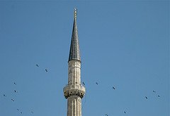 Istambul Török gólya storks