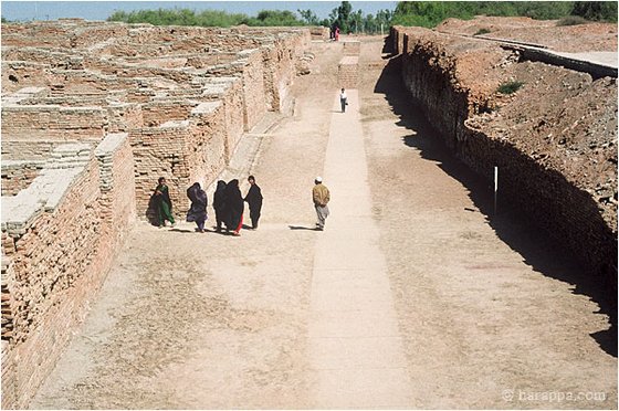 Mohenjodaro--