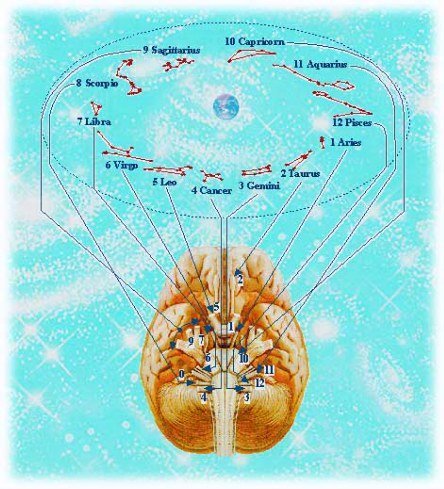 signos