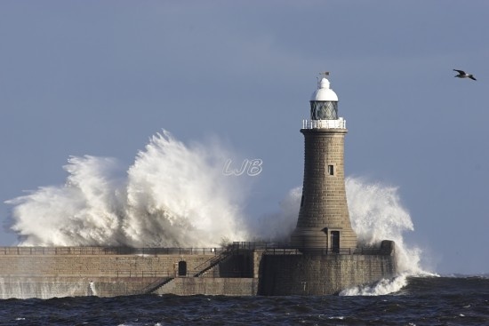 tynemouth lighthouse lb 18