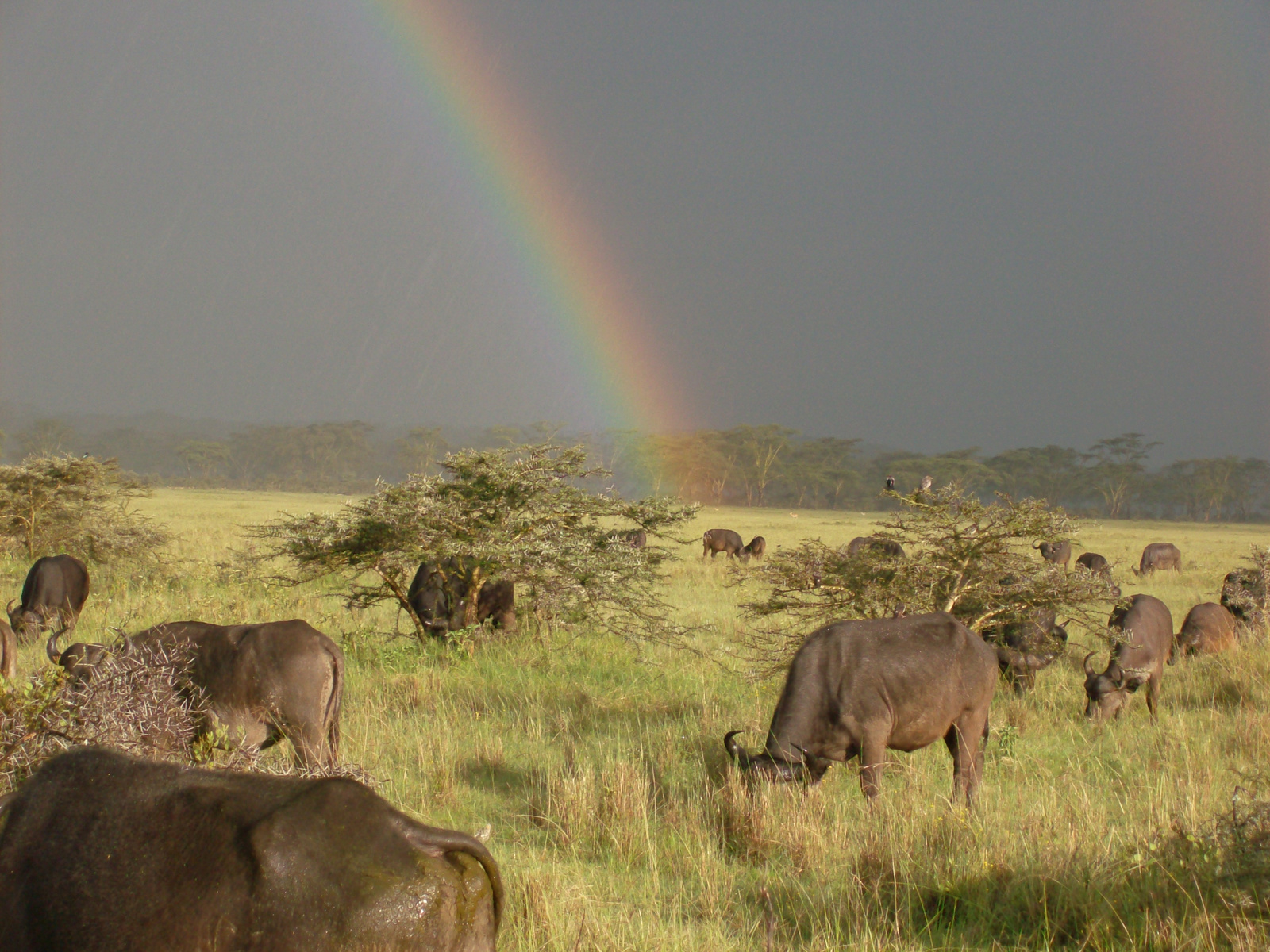 08szept,KENYA 006