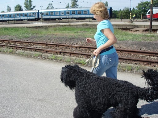 A kerékpáros lemaradt a képről...