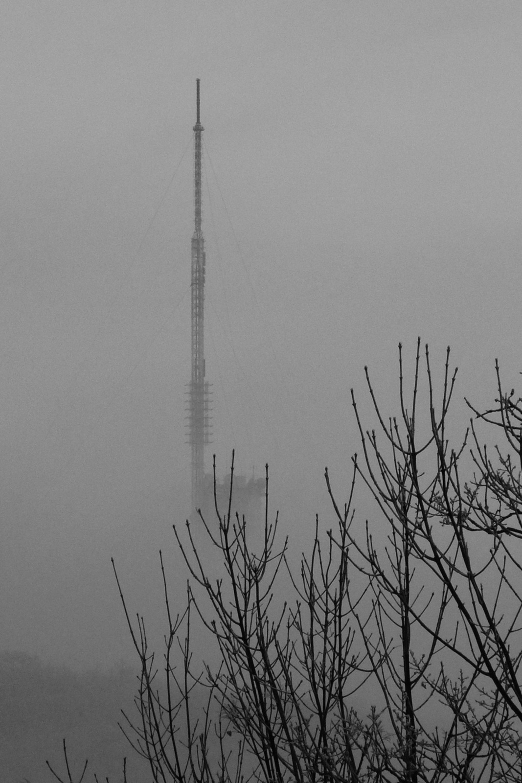 Torony a ködben