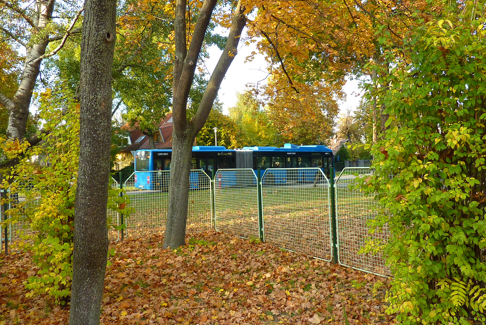 36-os busz, Iskola tér, ősz