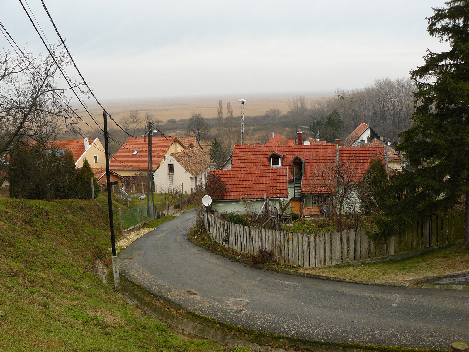 Fertőboz; háttérben a Fertő