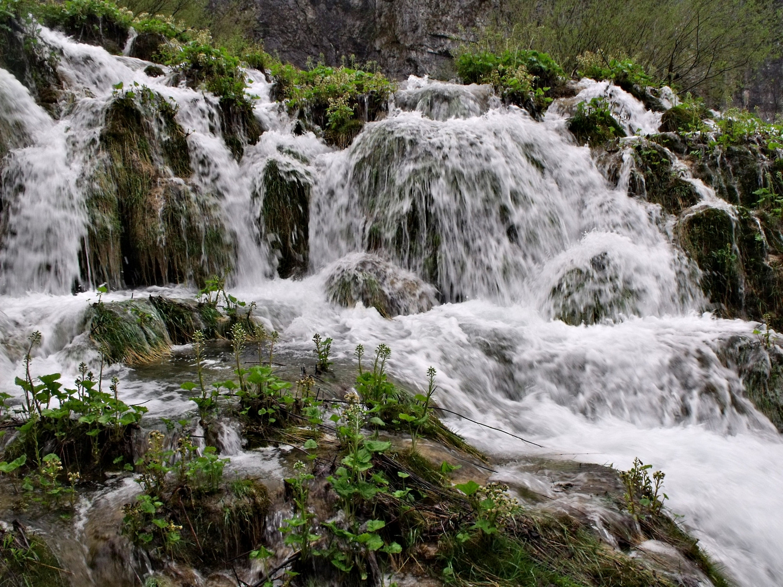 2010-04-25plitvice 066