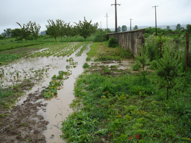 árvíz 2010.06.01. 029