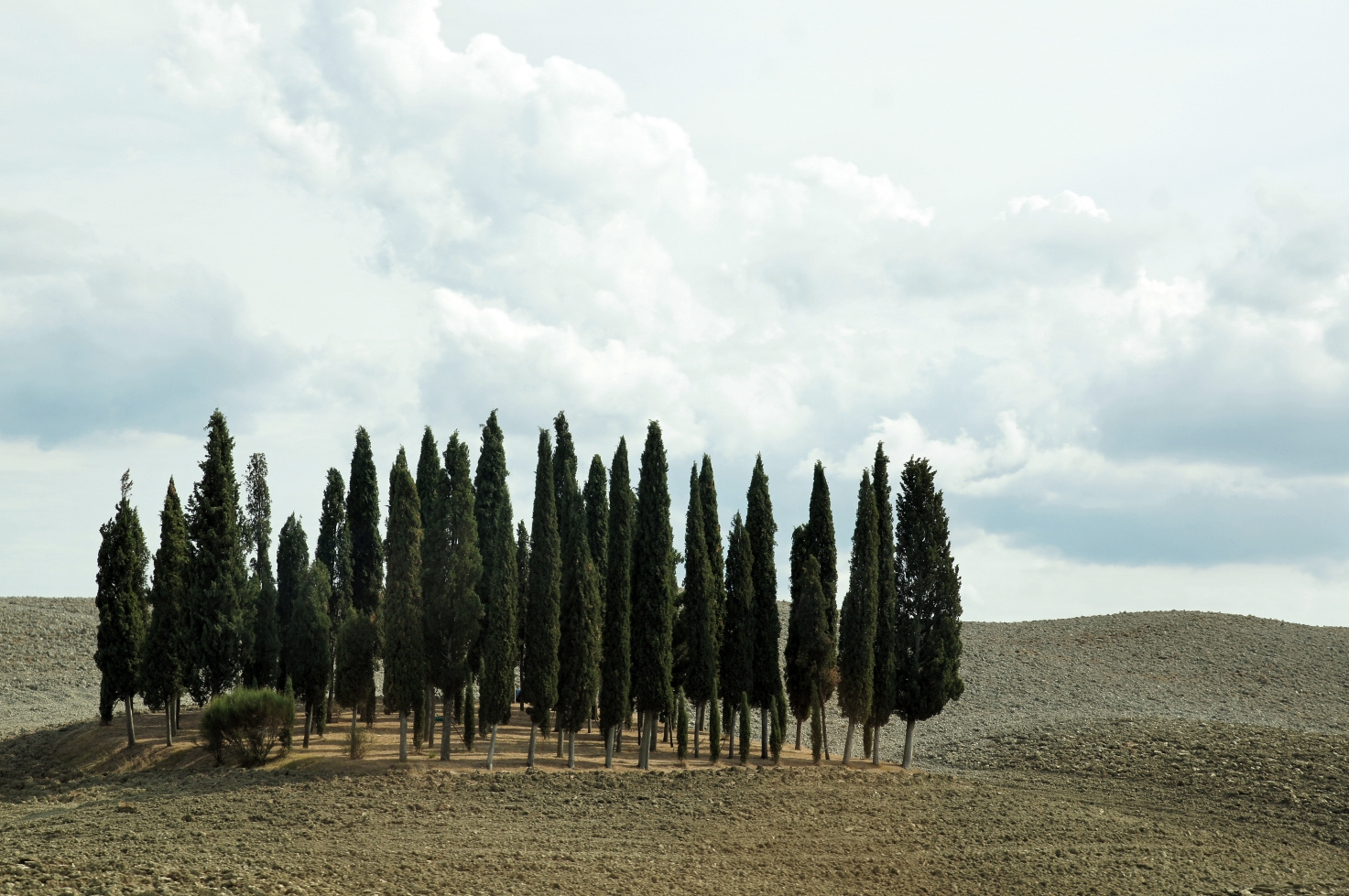 Toscana, Italy, 2011