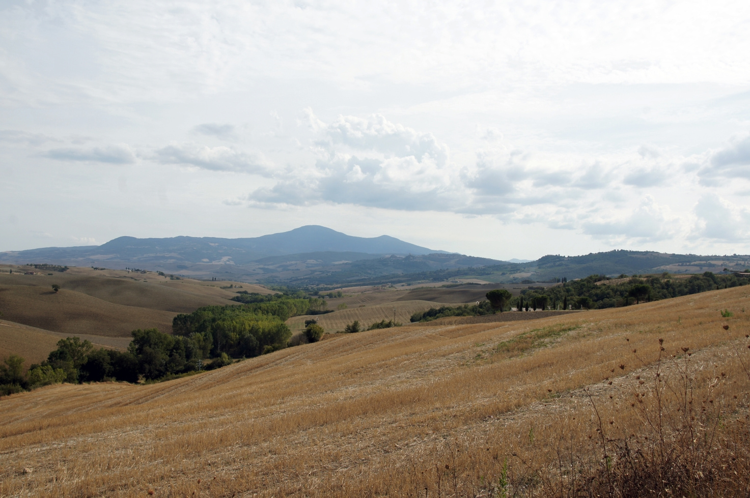 Toscana, Italy, 2011