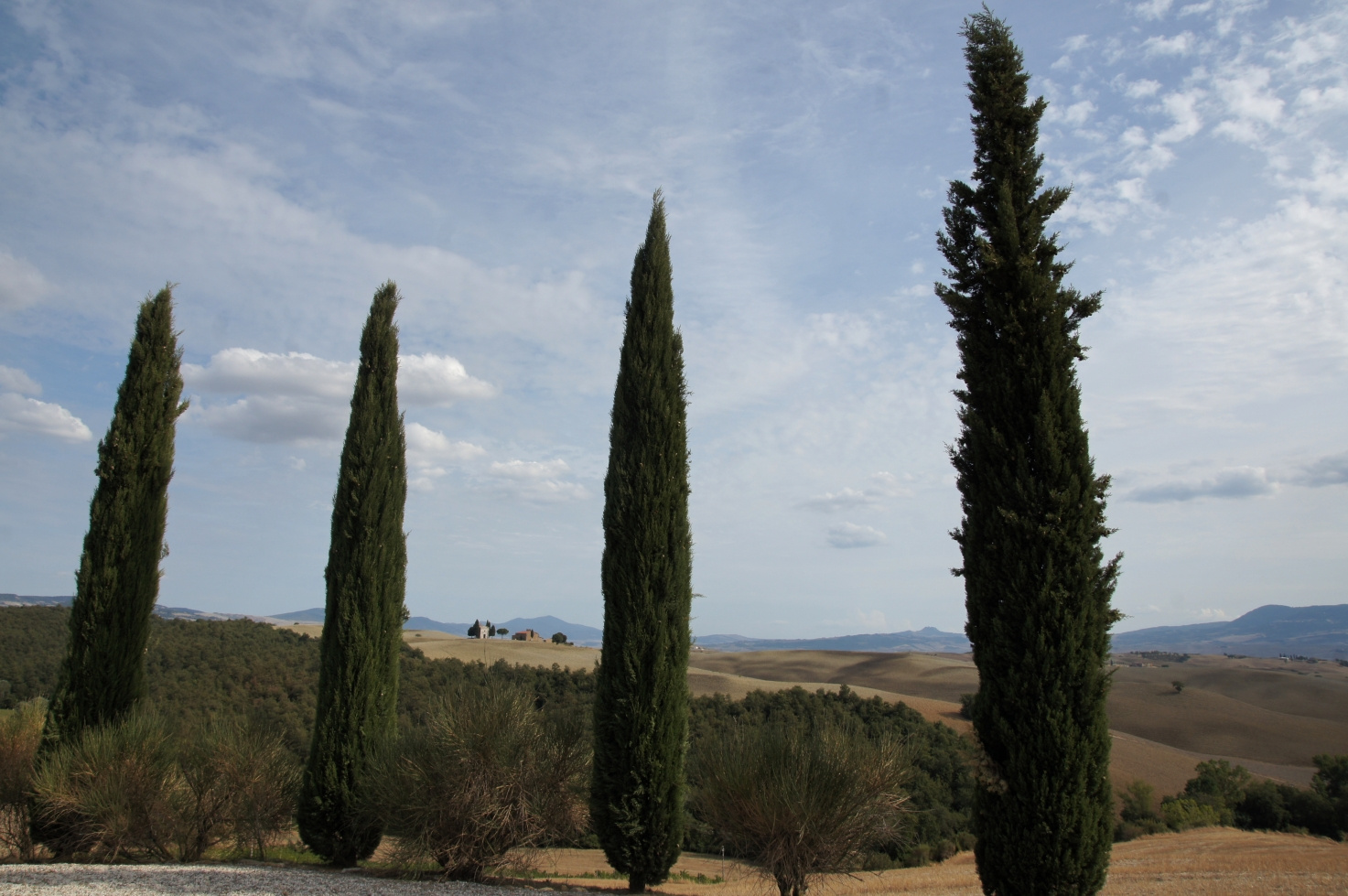 Toscana, Italy, 2011