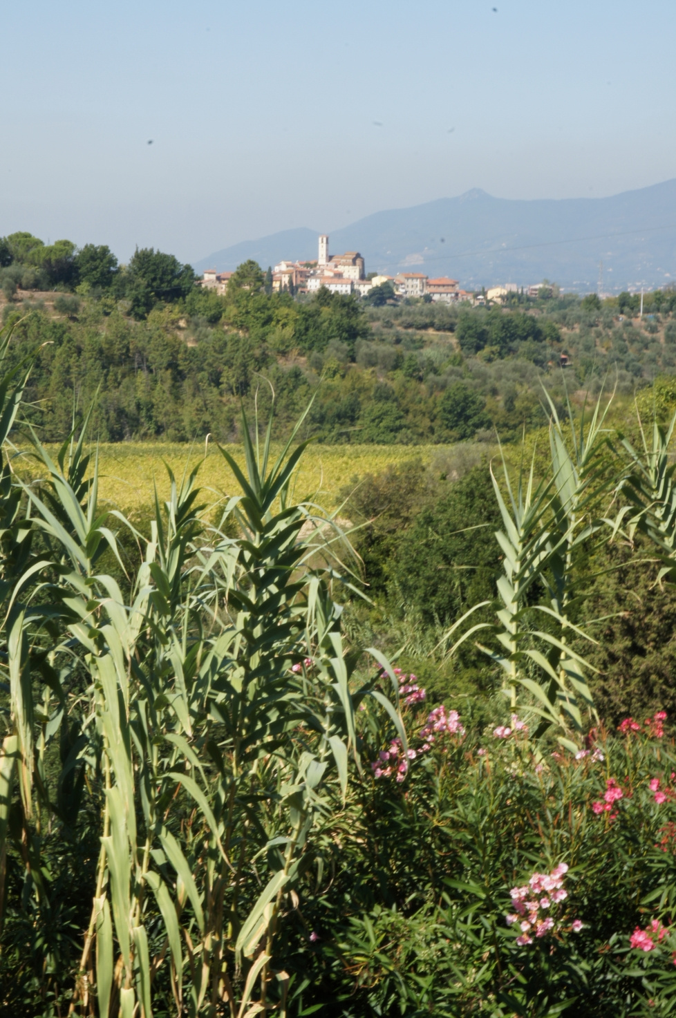 Toscana, Italy, 2011