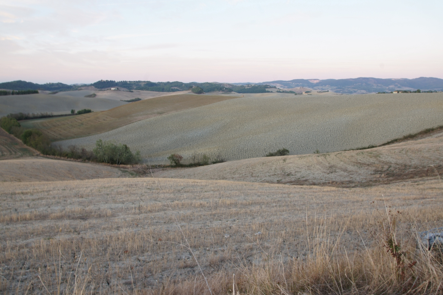 Toscana, Italy, 2011