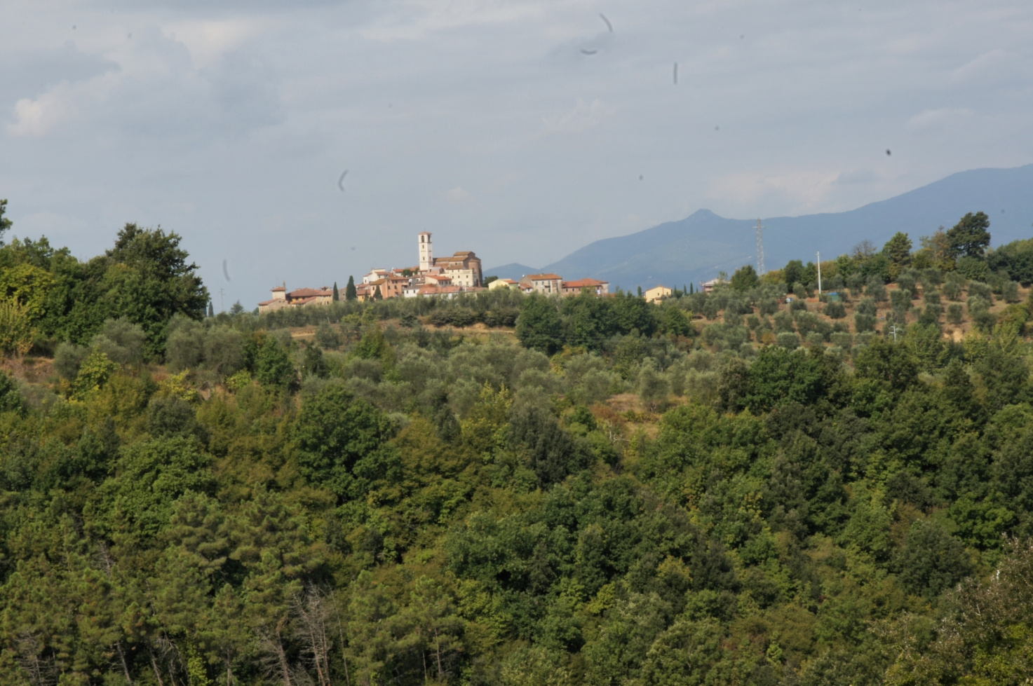 Toscana, Italy, 2011