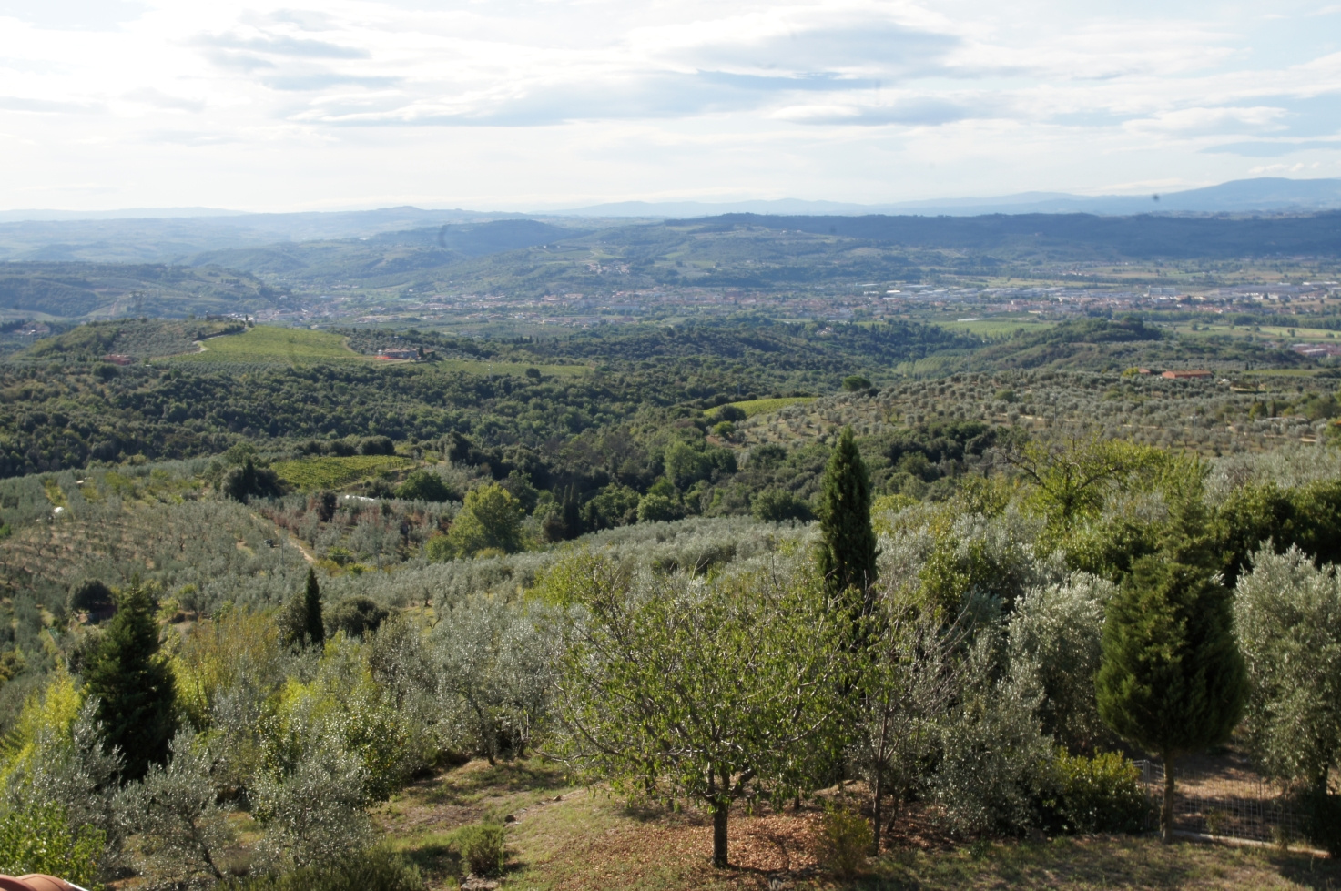 Toscana, Italy, 2011