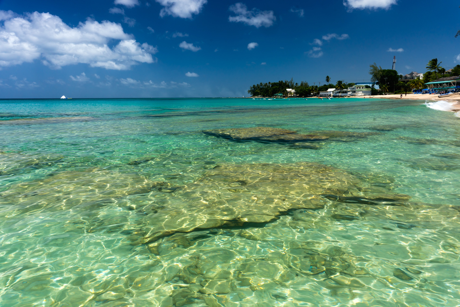 Mullins Bay - Barbados 2014