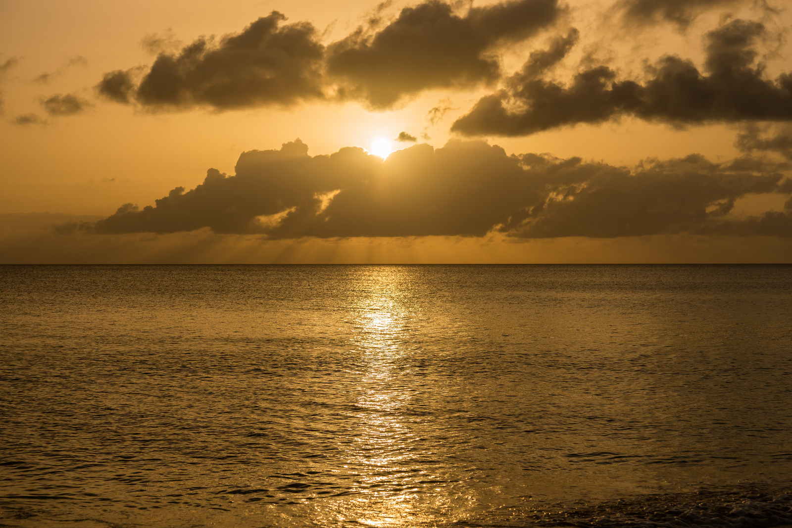 Mullins Bay - Barbados 2014