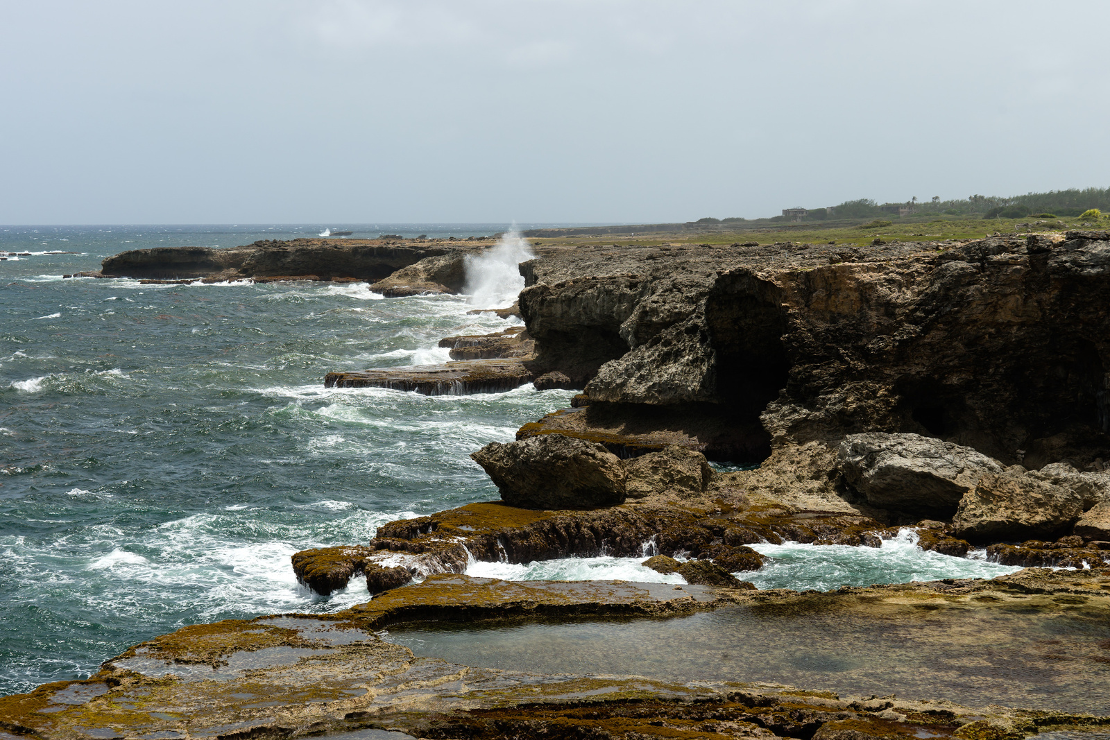 St. Lucy. the northernmost coast of Barbados