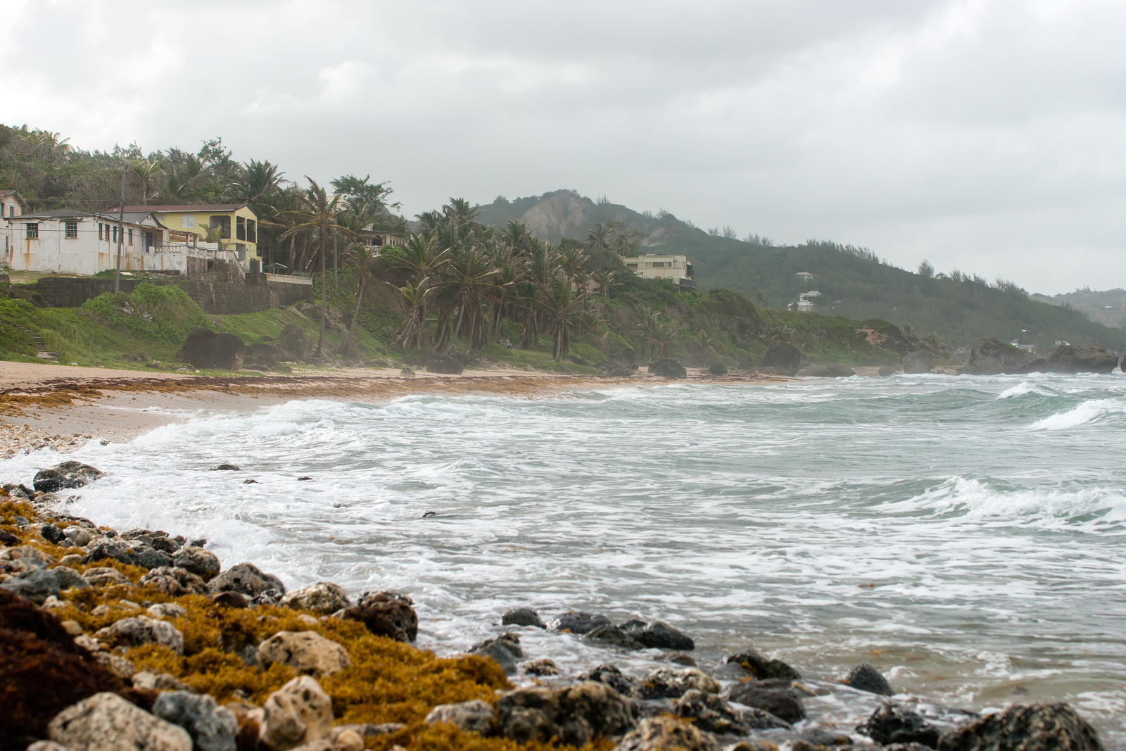 Bathsheba - Barbados 2014