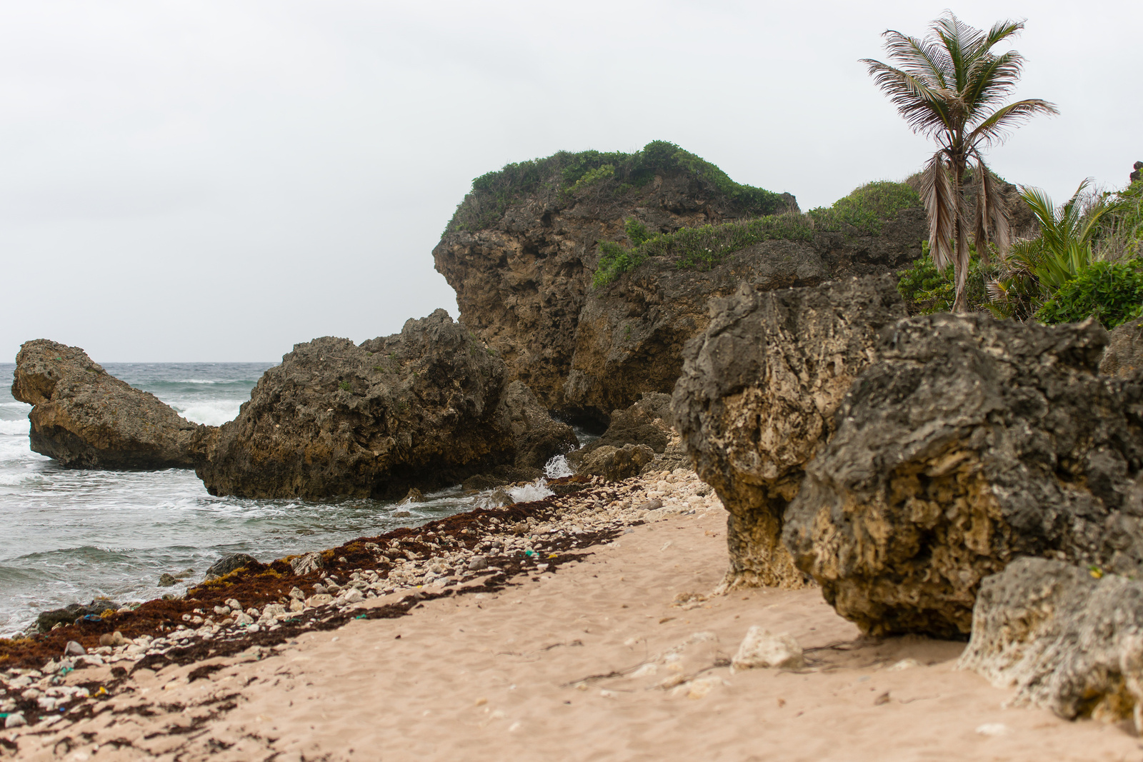 Bathsheba - Barbados 2014