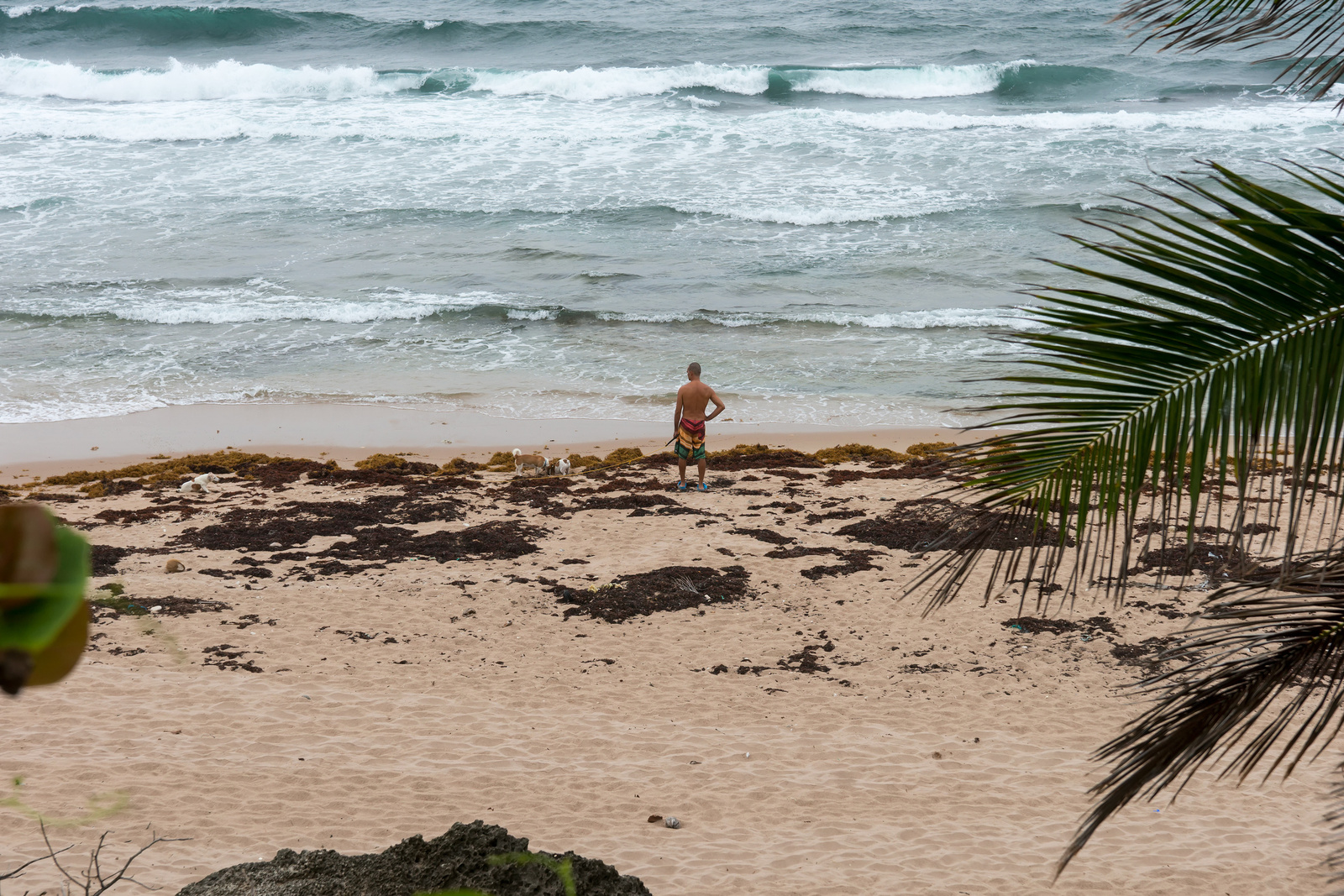 Bathsheba - Barbados 2014