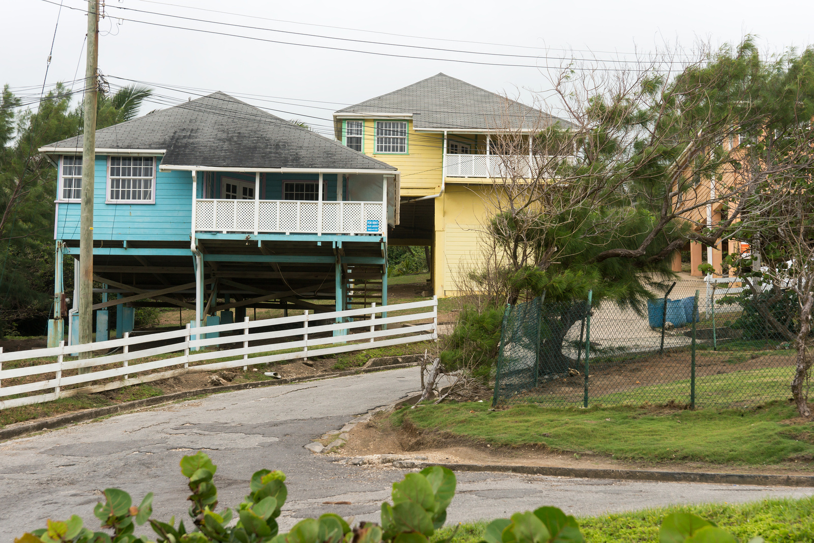 Bathsheba - Barbados 2014