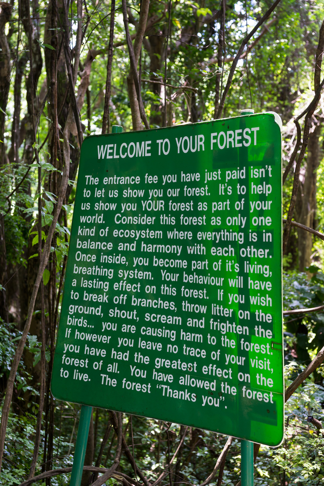 Grenade Hall Forest - Barbados 2014