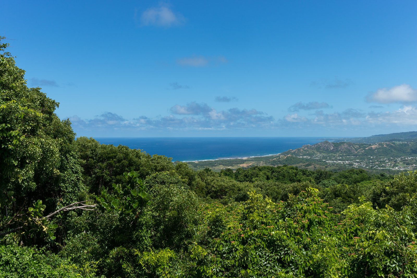 Barbados East Coast 2014