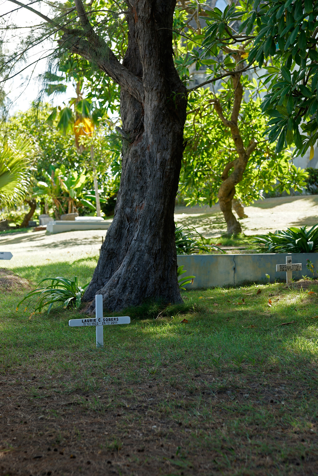 Cemetery @ St Andrew's Parish Church - Barbados 2014