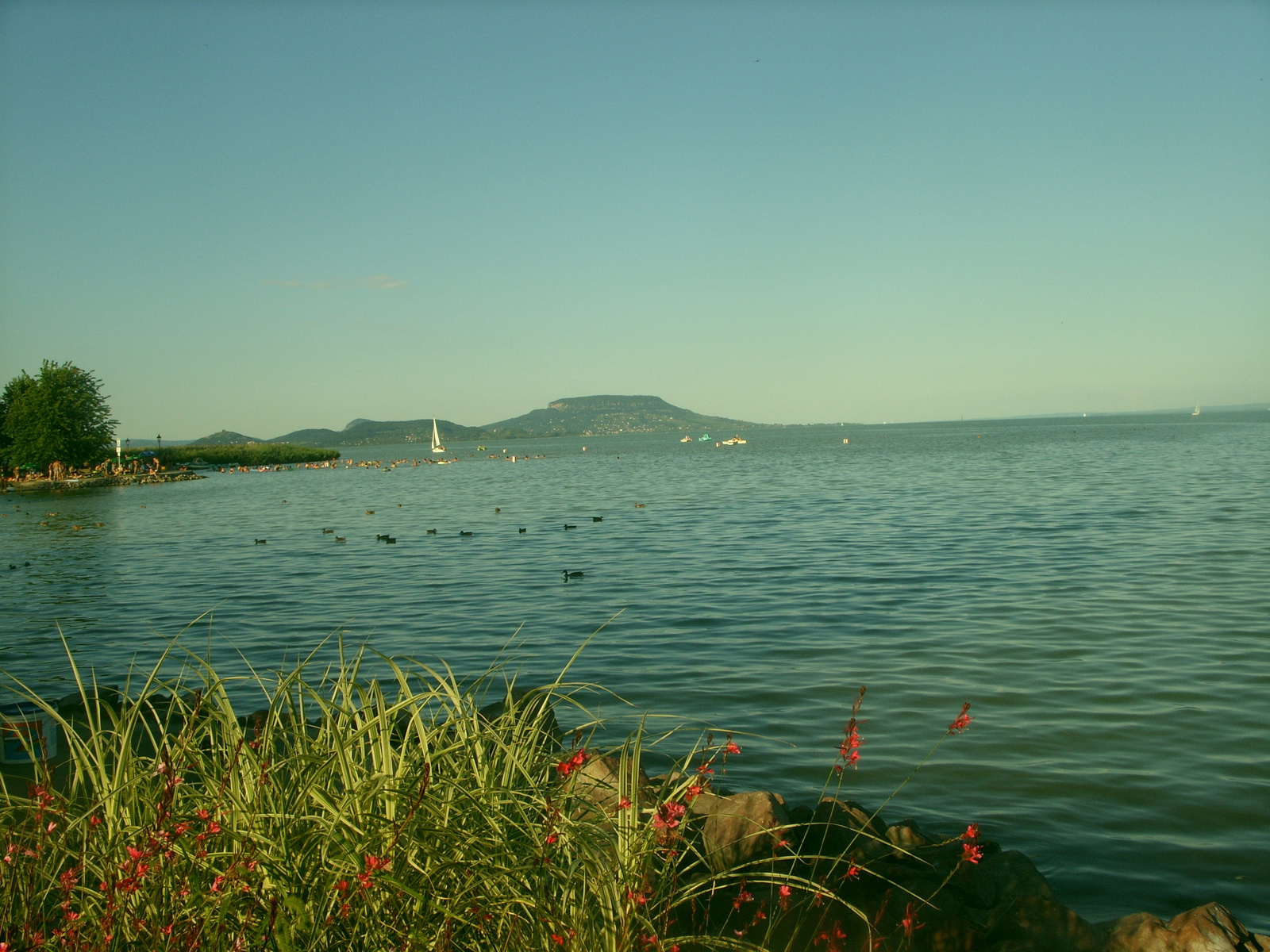 balaton