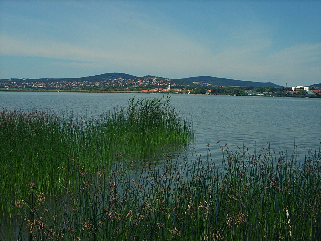 velencei-tó