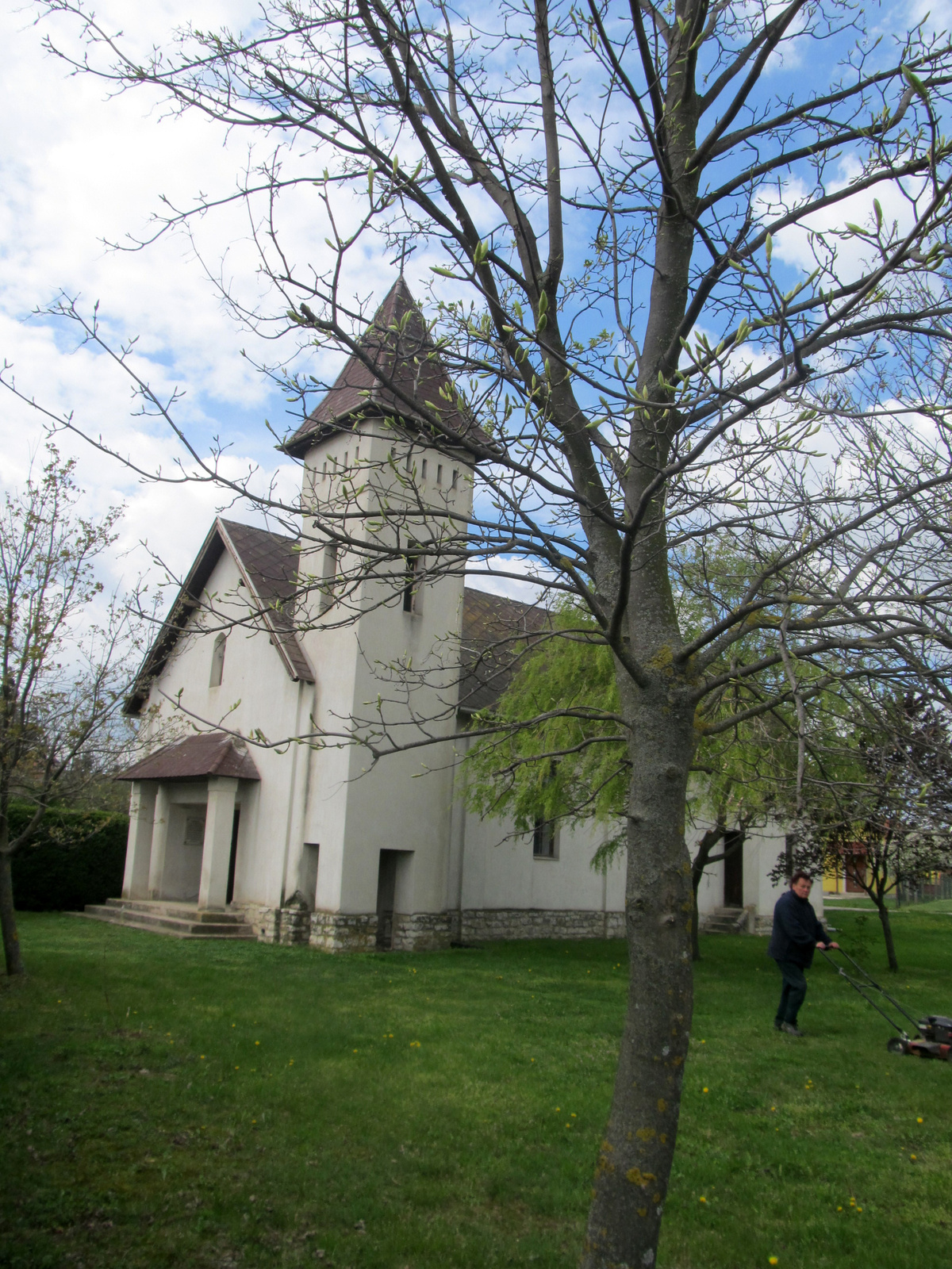 Balatonszőlős1