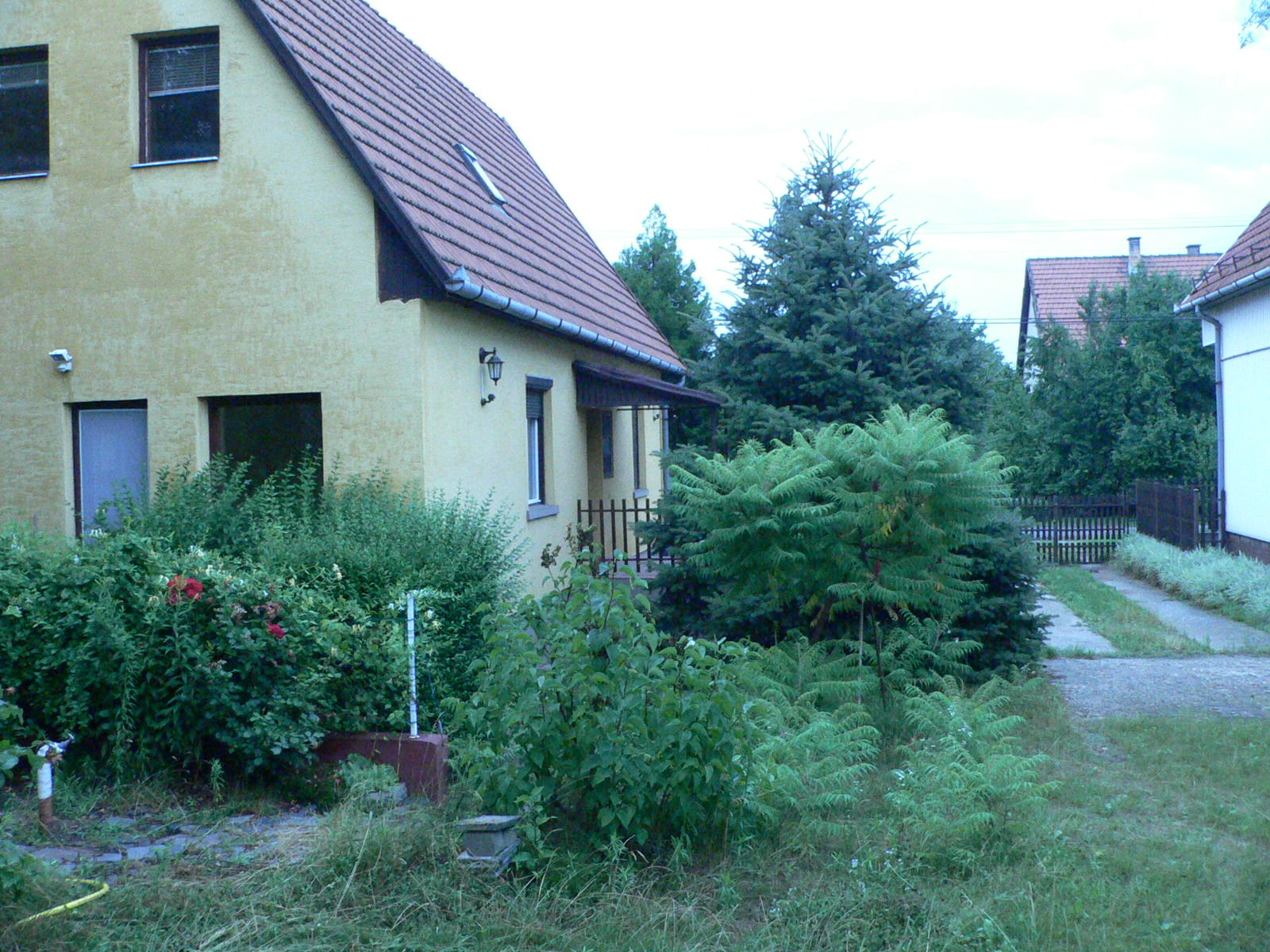 Ház és elvadult környéke 2005 július 13