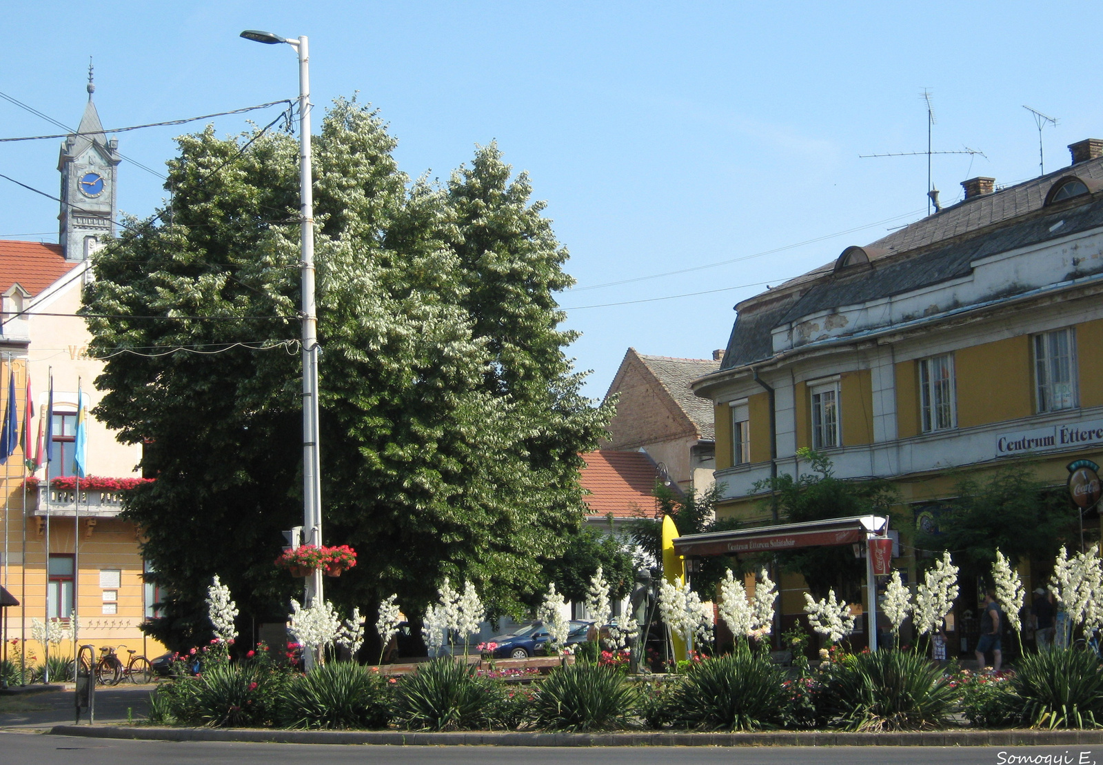 Erzsébet tér.