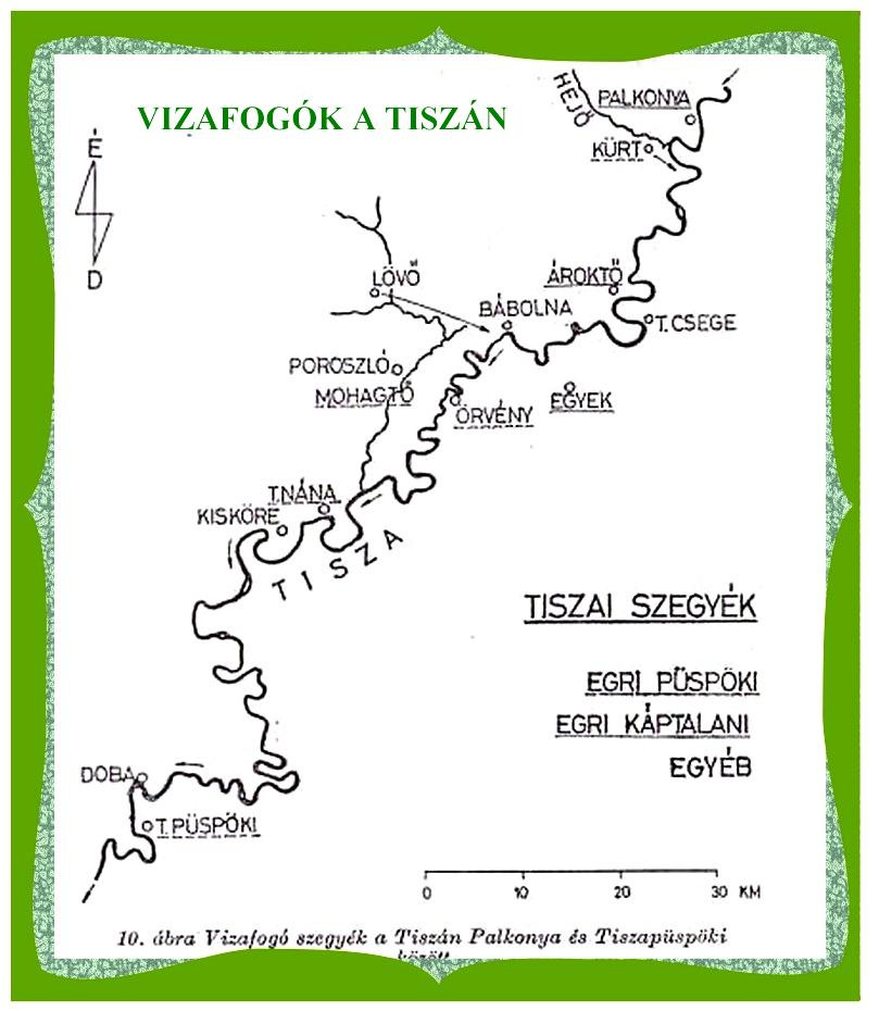 VIZAFOGÓ SZEGYÉK A TISZÁN