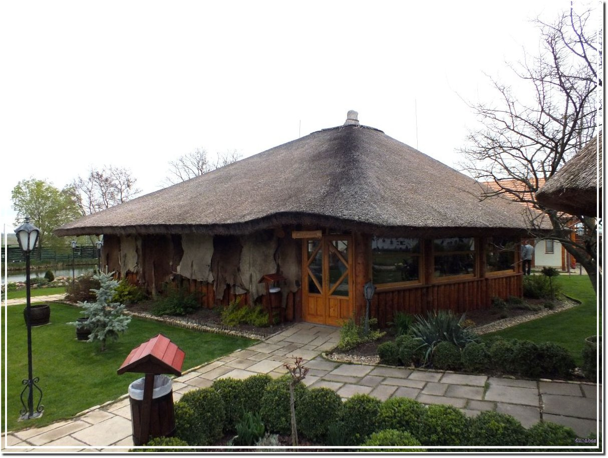 Szőlőszemfarm - körbenéztünk-04.- étterem.