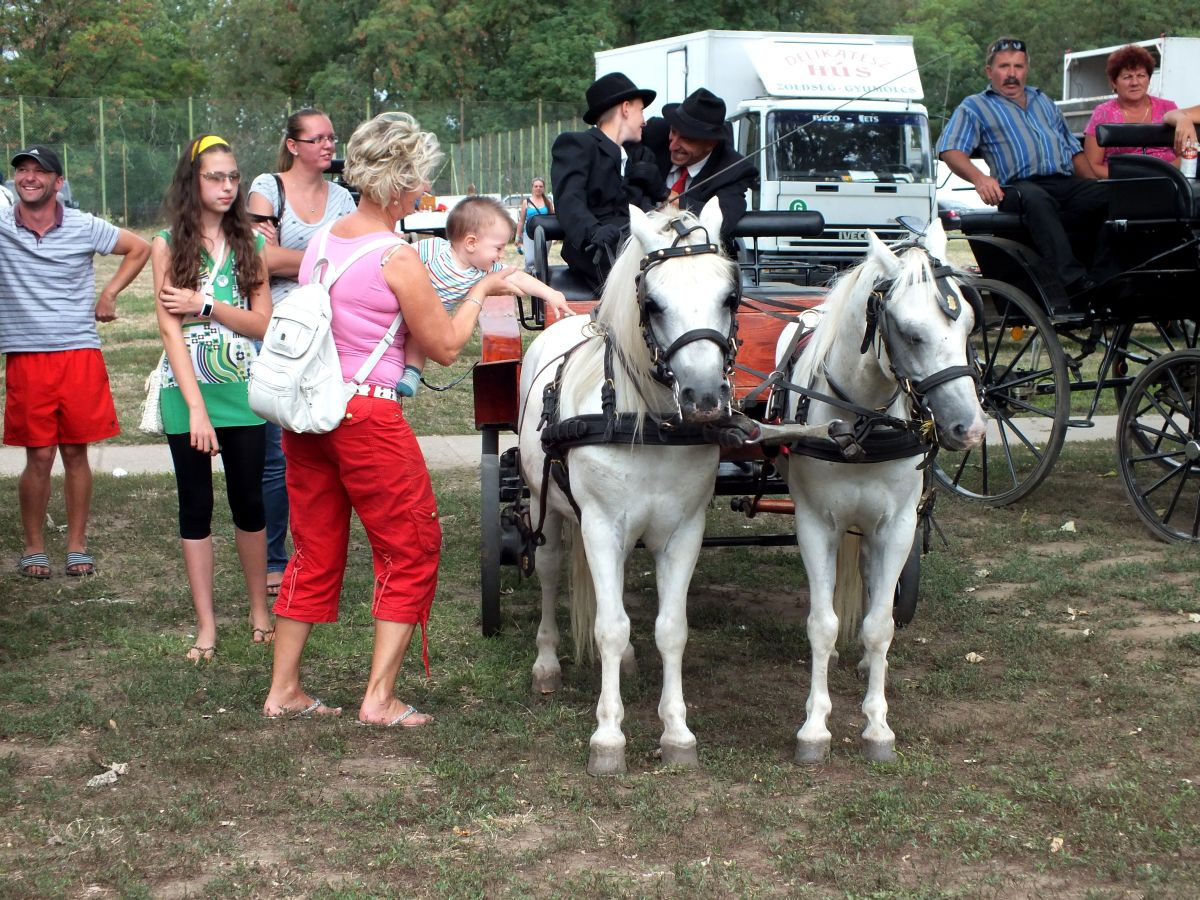 023- Fogathajtás Tiszafüred 2012.08.11.- közönség