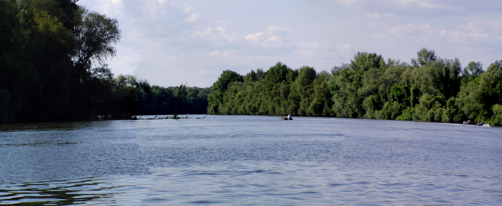 TISZA1